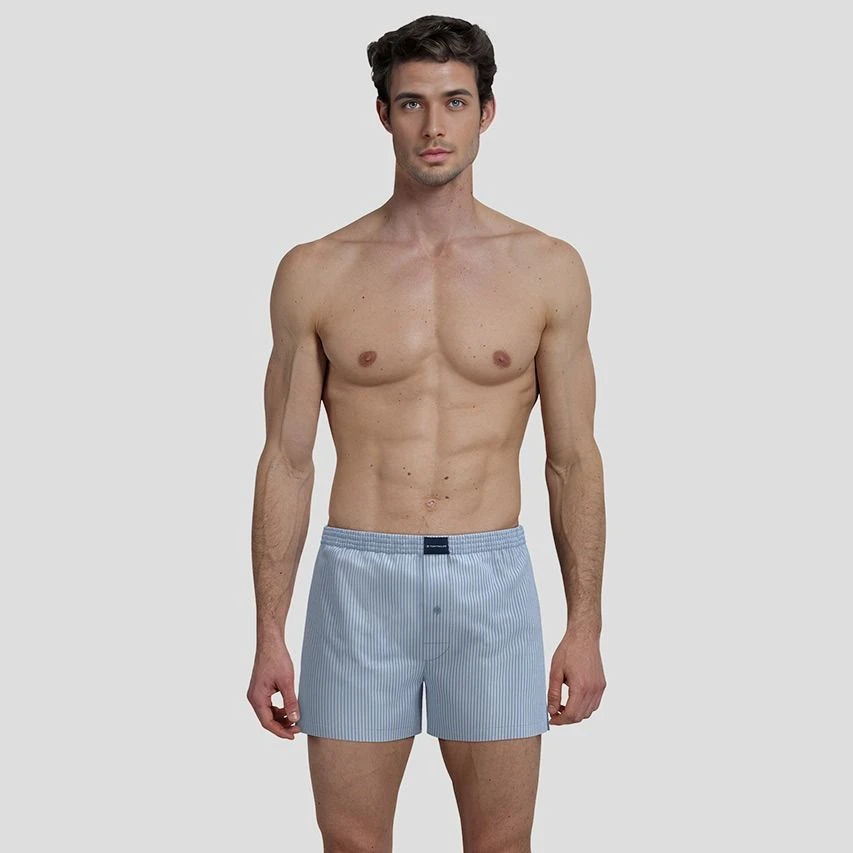 TOM TAILOR 2-pack wijde boxershorts basic stripe blauw TOM TAILOR 2-pack Wijde Boxershorts Basic Stripe Blauw -Boxers Winkel