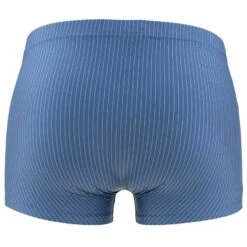 TOM TAILOR 2-pack Microfiber Boxers Stripes Blauw 2 TOM TAILOR 2-pack Microfiber Boxers Stripes Blauw -Boxers Winkel aHR0cHM6Ly93d3cuYm94ZXJzLm5sL21lZGlhL2NhdGFsb2cvcHJvZHVjdC90L28vdG9tLXRhaWxvcl83MDU5OC0xMjE4LTYyM18xLmpwZz9zdG9yZT1ib3hlcnNfbmwmaW1hZ2UtdHlwZT1pbWFnZQ