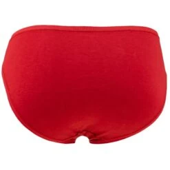 Bamboo Basics Dames 3-pack Taille-slips Julia Rood -Boxers Winkel aHR0cHM6Ly93d3cuYm94ZXJzLm5sL21lZGlhL2NhdGFsb2cvcHJvZHVjdC9iL2EvYmFtYm9vLWJhc2ljc19qdWxpYS0wMDRfMy5qcGc c3RvcmU9Ym94ZXJzX25sJmltYWdlLXR5cGU9aW1hZ2U