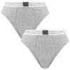 BJØRN BORG Björn Borg Dames Core Original 2-pack High Waist Slips Grijs