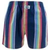 DEAL Wijde Boxershort Stripe Multi 192266