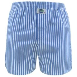 DEAL Wijde Boxershort Stripe Blauw & Wit 192267
