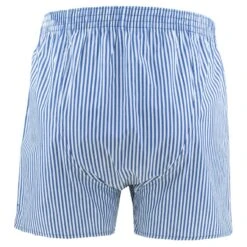DEAL 10-pack Wijde Boxershorts Stripe & Check Blauw -Boxers Winkel aHR0cHM6Ly93d3cuYm94ZXJzLm5sL21lZGlhL2NhdGFsb2cvcHJvZHVjdC9kL2UvZGVhbF8xOTIyODAtMzA0XzFfMS5qcGc c3RvcmU9Ym94ZXJzX25sJmltYWdlLXR5cGU9aW1hZ2U