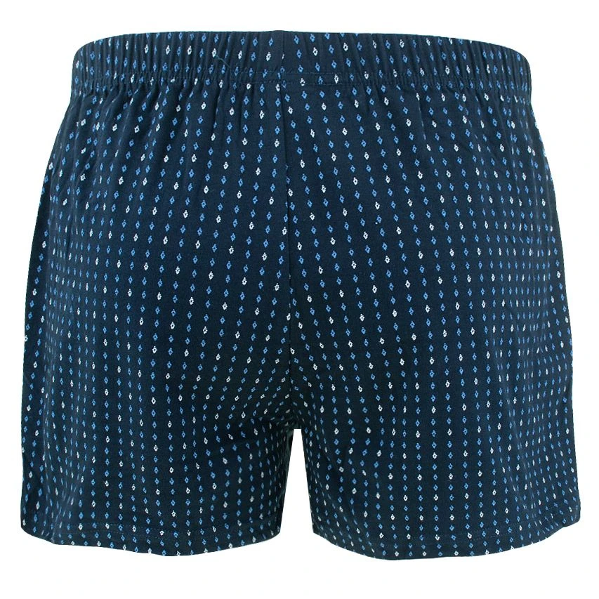 Götzburg 2-pack wijde boxers geruit minipatroon blauw Götzburg 2-pack Wijde Boxers Geruit Minipatroon Blauw -Boxers Winkel