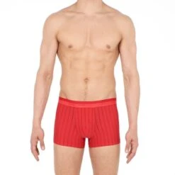 HOM Microfiber Boxer Chic Rood 2 HOM Microfiber Boxer Chic Rood -Boxers Winkel aHR0cHM6Ly93d3cuYm94ZXJzLm5sL21lZGlhL2NhdGFsb2cvcHJvZHVjdC9oL28vaG9tX2NoaWNfYm94ZXJicmllZnNfNDAxMzM2XzQwMDBwYV9mYWNlLmpwZz9zdG9yZT1ib3hlcnNfbmwmaW1hZ2UtdHlwZT1pbWFnZQ