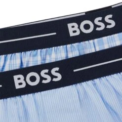 Hugo Boss BOSS 2-pack Wijde Boxershorts Check Striped Blauw -Boxers Winkel aHR0cHM6Ly93d3cuYm94ZXJzLm5sL21lZGlhL2NhdGFsb2cvcHJvZHVjdC9oL3UvaHVnby1ib3NzXzUwNDgwMDU2LTQ3MV8yLmpwZz9zdG9yZT1ib3hlcnNfbmwmaW1hZ2UtdHlwZT1pbWFnZQ