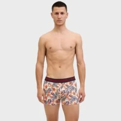 Jack & Jones 10-pack Boxer Trunks Landon Multi 2 Jack & Jones 10-pack Boxer Trunks Landon Multi -Boxers Winkel aHR0cHM6Ly93d3cuYm94ZXJzLm5sL21lZGlhL2NhdGFsb2cvcHJvZHVjdC9qL2EvamFjay1qb25lc18xMjI4MzM5Ni1kYXJrLW5hdnlfMjguanBnP3N0b3JlPWJveGVyc19ubCZpbWFnZS10eXBlPWltYWdl